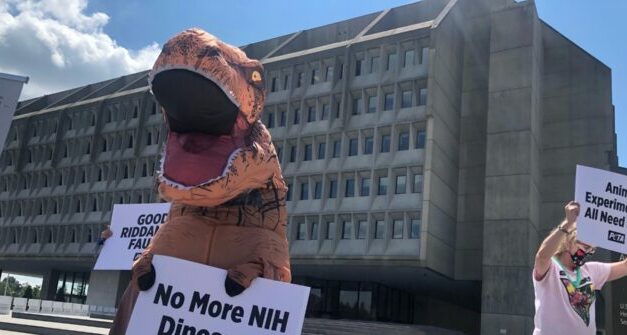 PETA ‘Dinosaurs’ Throw ‘Farewell Fauci Party’ Outside HHS